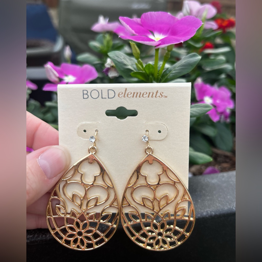 Nwt Bold Elements Earrings